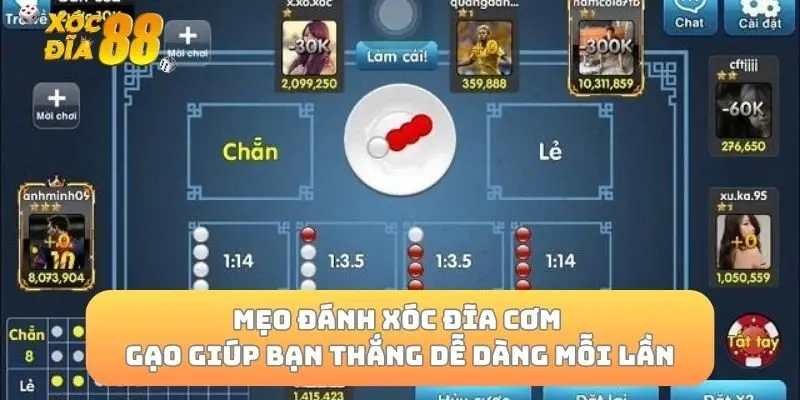 Mẹo Đánh Xóc Đĩa Cơm Gạo Giúp Bạn Thắng Dễ Dàng Mỗi Lần